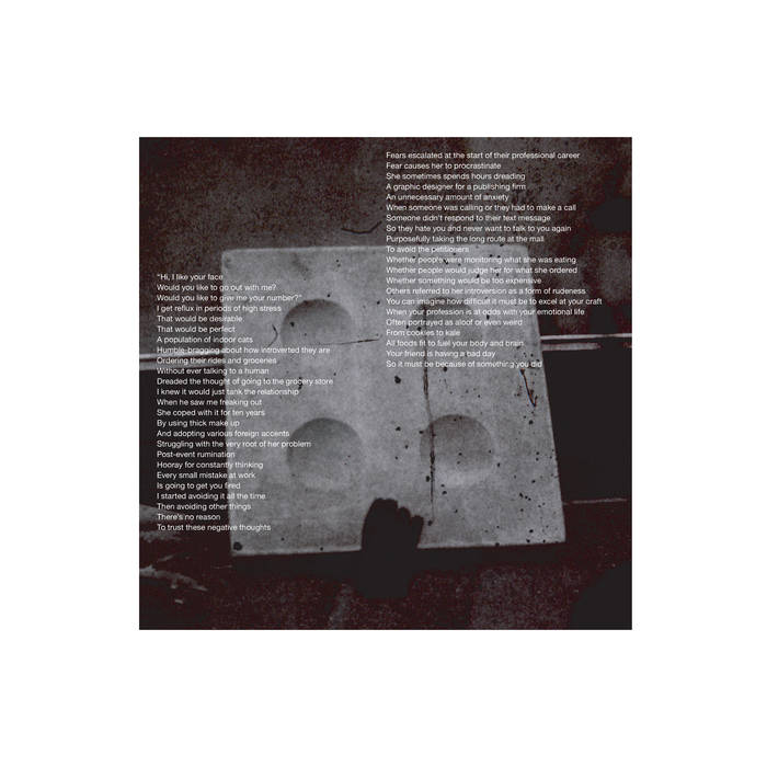 Red Wine and Sugar // A Population of Indoor Cats LP