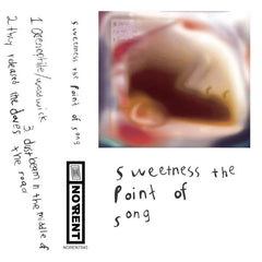 Sweetness The Point Of Song // Sweetness The Point Of Song TAPE
