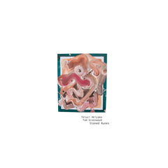 Tetuzi Akiyama & Tom Greenwood // Stoned Runes CD