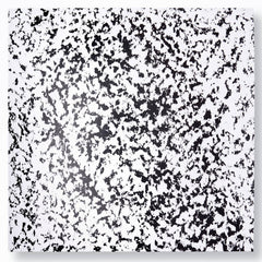 Stereo // Together 12"