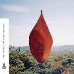 Adam Michael Krause // As Nice As A Tree TAPE
