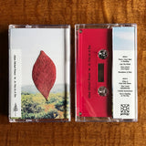 Adam Michael Krause // As Nice As A Tree TAPE
