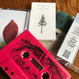 Adam Michael Krause // As Nice As A Tree TAPE
