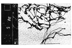 Various Artists // Ēlēkitironīkisiz (nostilevo116) TAPE