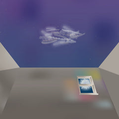 Radere // I Can't Sleep, I Can't Wake Up LP