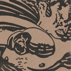 Hidden Forces Trio // The Set-Up CD