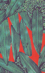 UVC // Haulin' Bundles at the Glue Factory TAPE