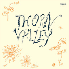 Various Artist // Thorn Valley 2xLP