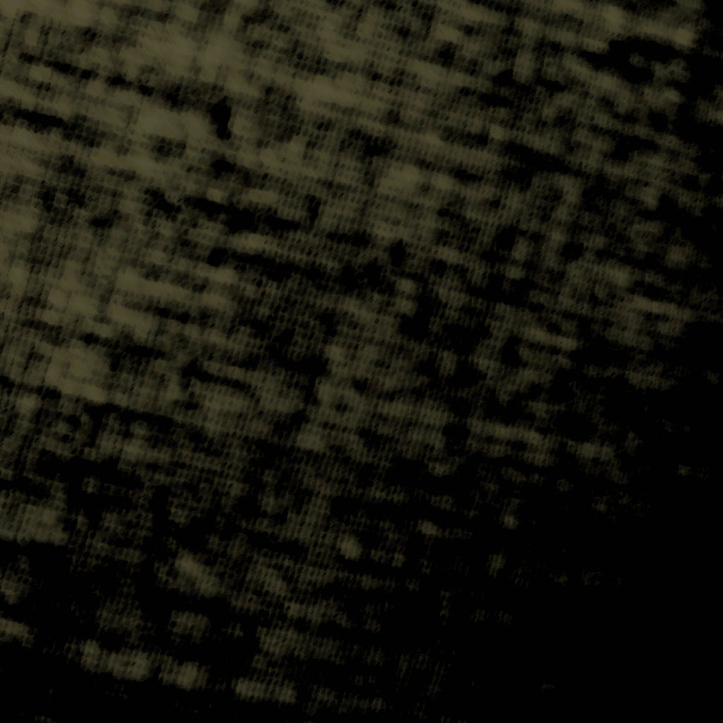 Vasculae // Cultural Primitivism CD