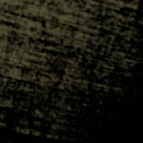 Vasculae // Cultural Primitivism CD