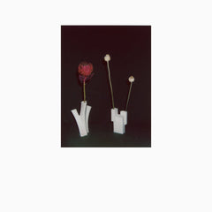 Felicia Atkinson // The Flower And The Vessel 2xLP