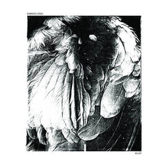 Domenico Crisci // Velvet 12"