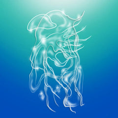 Alexandra Spence // a veil, the sea TAPE