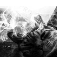 W.E._aa // ག CDR