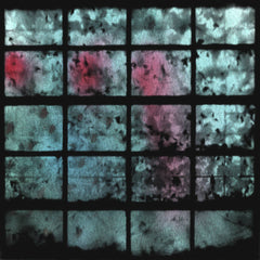 Murmer // We Share a Shadow CD