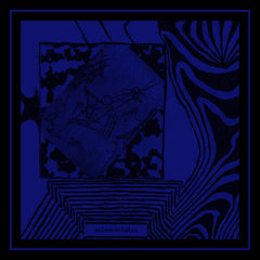 Sciencevision // What We Found TAPE