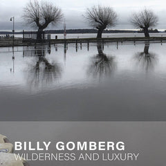 Billy Gomberg // Wilderness and Luxury TAPE