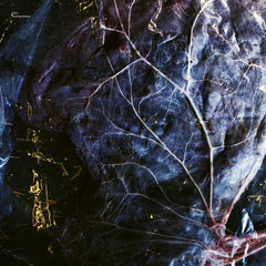 CA2+ // Overtone Widow LP