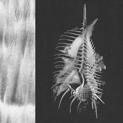 yolabmi // For Wind Poetry TAPE