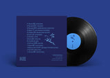 Sam Gendel // blueblue LP