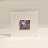 Hour // Tiny Houses/Anemone Red 2xCD
