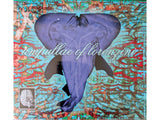 Flea Apparitions // Ampullae Of Lorenzini CD