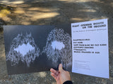 Phil Elverum & Arrington De Dionyso // Giant Opening Mouth On The Ground LP