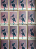 Jon Collin // The Land (2025 reissue) TAPE