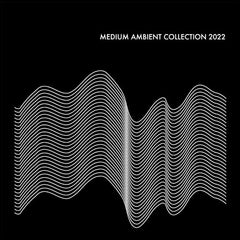 Various Artists (Medium) // Medium Ambient Collection 2022 BLACK 2xLP