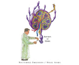 Nocturnal Emissions / Nigel Ayers // Reports of Debris CD