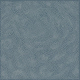 maya ongaku // Nothing Space Music LP – Tobira Records