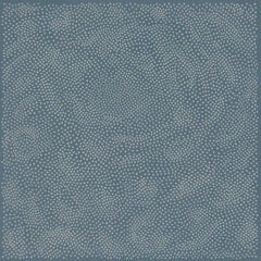 maya ongaku // Nothing Space Music LP
