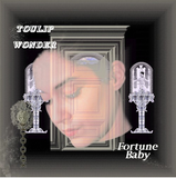 Toulip Wonder // Fortune Baby TAPE+BOOKLET