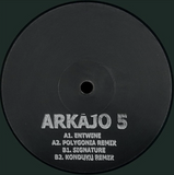 Arkajo // Entwine Signature (Polygonia And Konduku Remixes) 12"