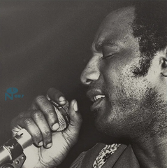 Harvey Scales // Trying To Survive 2xLP [COLOR]