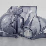 Carrier // Rhythm Immortal 2x12inch