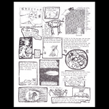 Lisa Crystal Carver // Rollerderby Volume One: Issues 1-10 ZINE