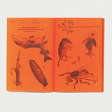 Marjolein van der Loo // A Tree, A Reader on Arboreal Kinship BOOK