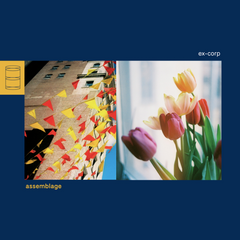 Ex-Corp // Assemblage CD