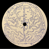 Pridi // NESREH001 12inch