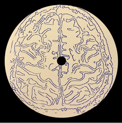 Pridi // NESREH001 12inch