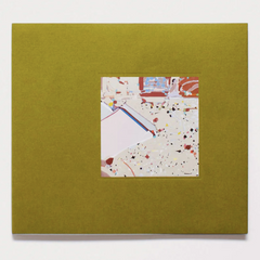 Molly Rose Lieberman // a landscape shredded ART BOOK