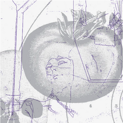 Sissy Spacek / Smegma // Electric Garden CD