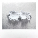 Joe Fujinoki // Glass Torso LP [COLOR]