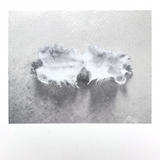 Joe Fujinoki // Glass Torso LP [COLOR]