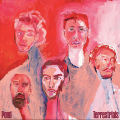 Pond // Terrestrials LP [COLOR]