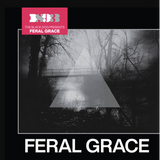 The Black Dog // Feral Grace CD