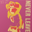 Everyone Asked About You // Never Leave CD