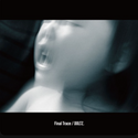 DOLTZ. // Final Trace 2x12inch