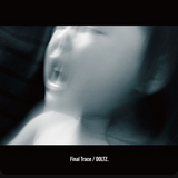 DOLTZ. // Final Trace 2x12inch